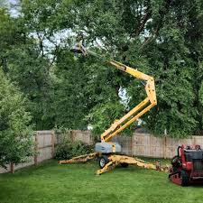Morrisonville, IL Tree Removal Company
